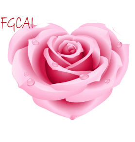 Heart-shaped pink rose with water droplets.
