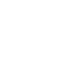 Silhouette of a butterfly on black background.